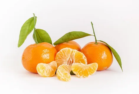 تصویر 2 از راهنمای خرید نارنگی شمال + قیمت عالی